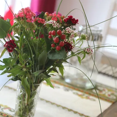 Rotdorn - Haus Nord Semesterbostad *